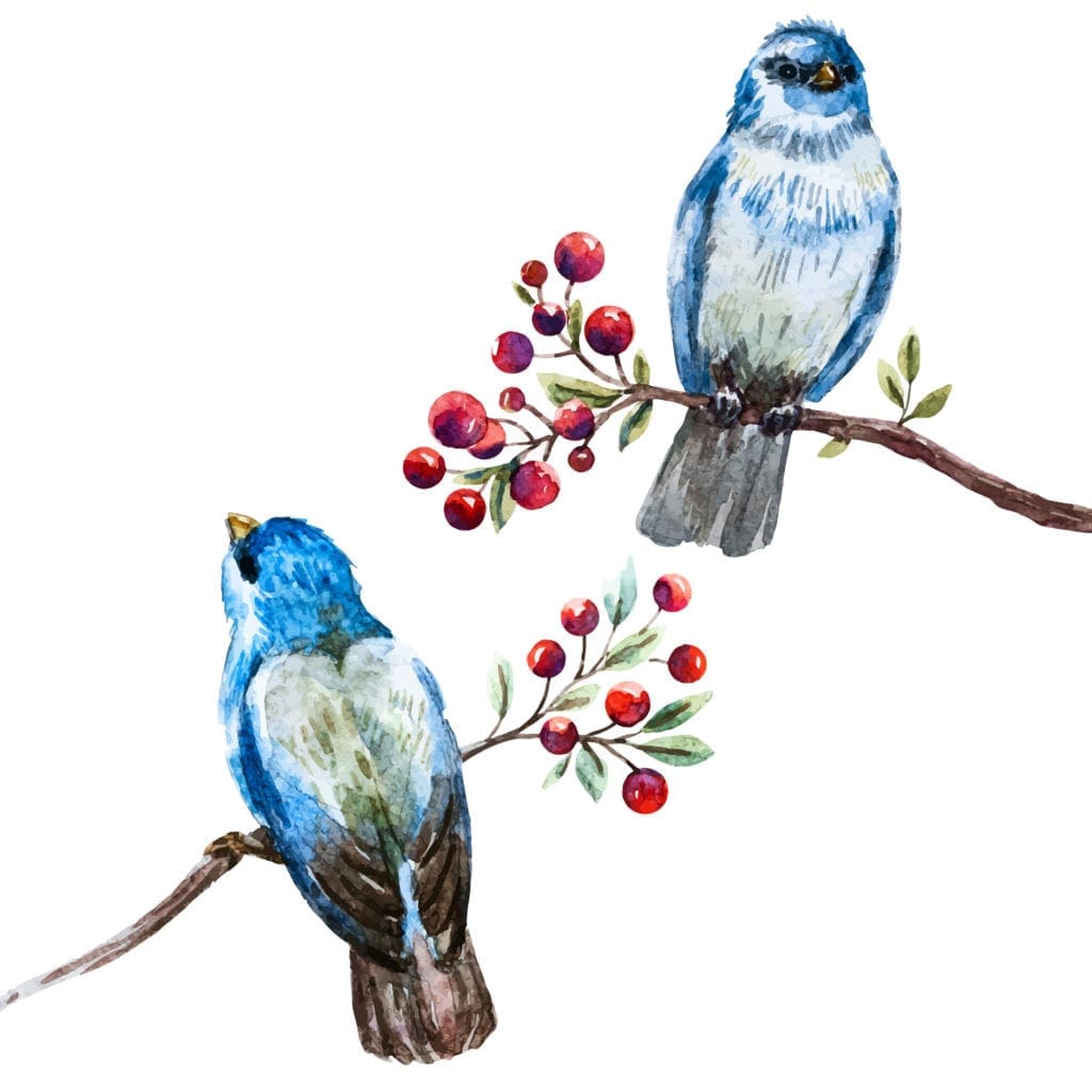 Blue Birds bring messages from Blue Avian Beings Image