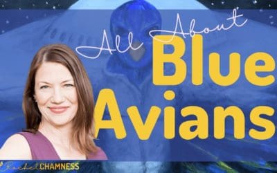 All about Blue Avians