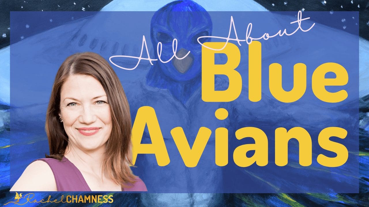 All about Blue Avian Image