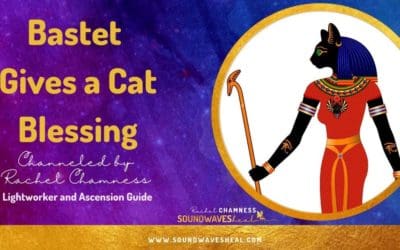 A Cat Healing for You and Your Cat From Bastet