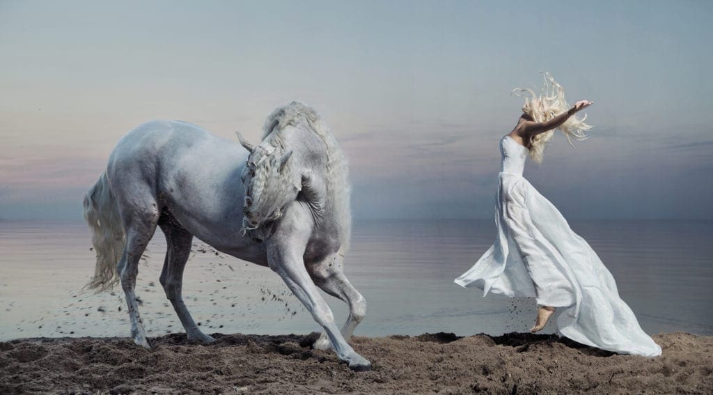 Spirit Guide unicorn image