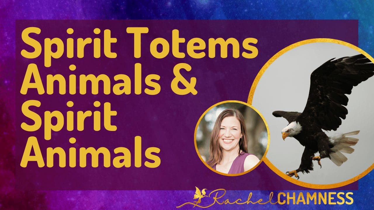 Spirit Totem Animals and Spirit Animals Image