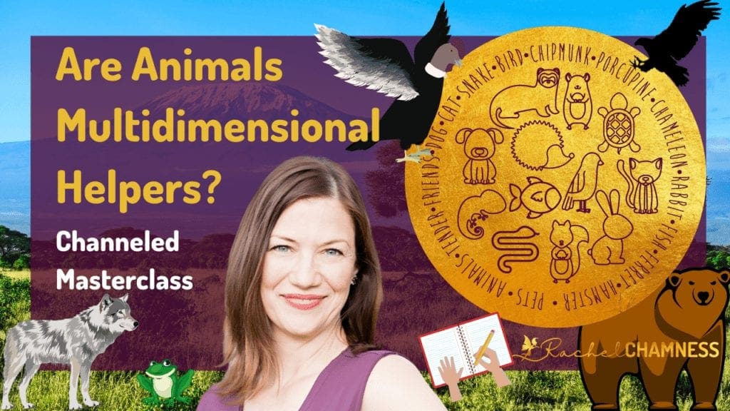 Animal Totem Guides & Animal Spirits Masterclass Image