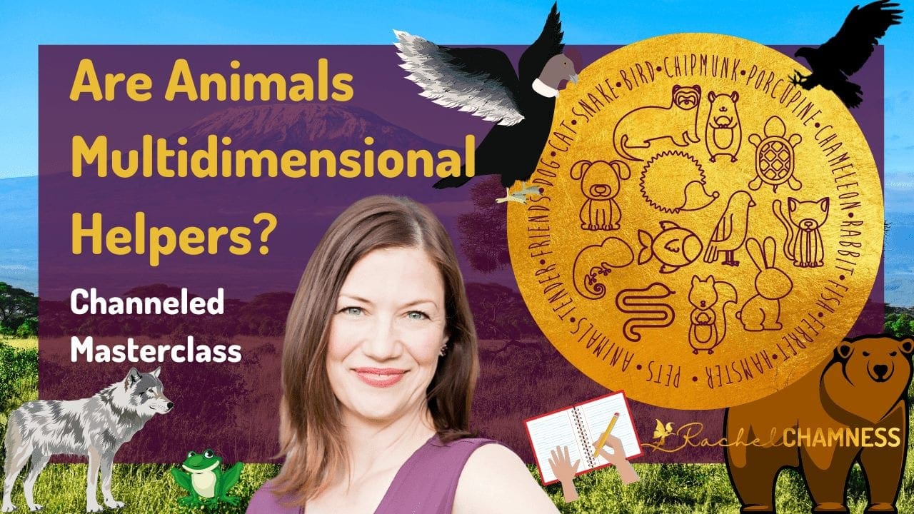 Are Animals MultiDimensional Helpers? Animal Spirit Guides Masterclass