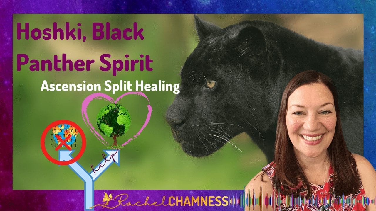 Black Panther Spirit Animal Image
