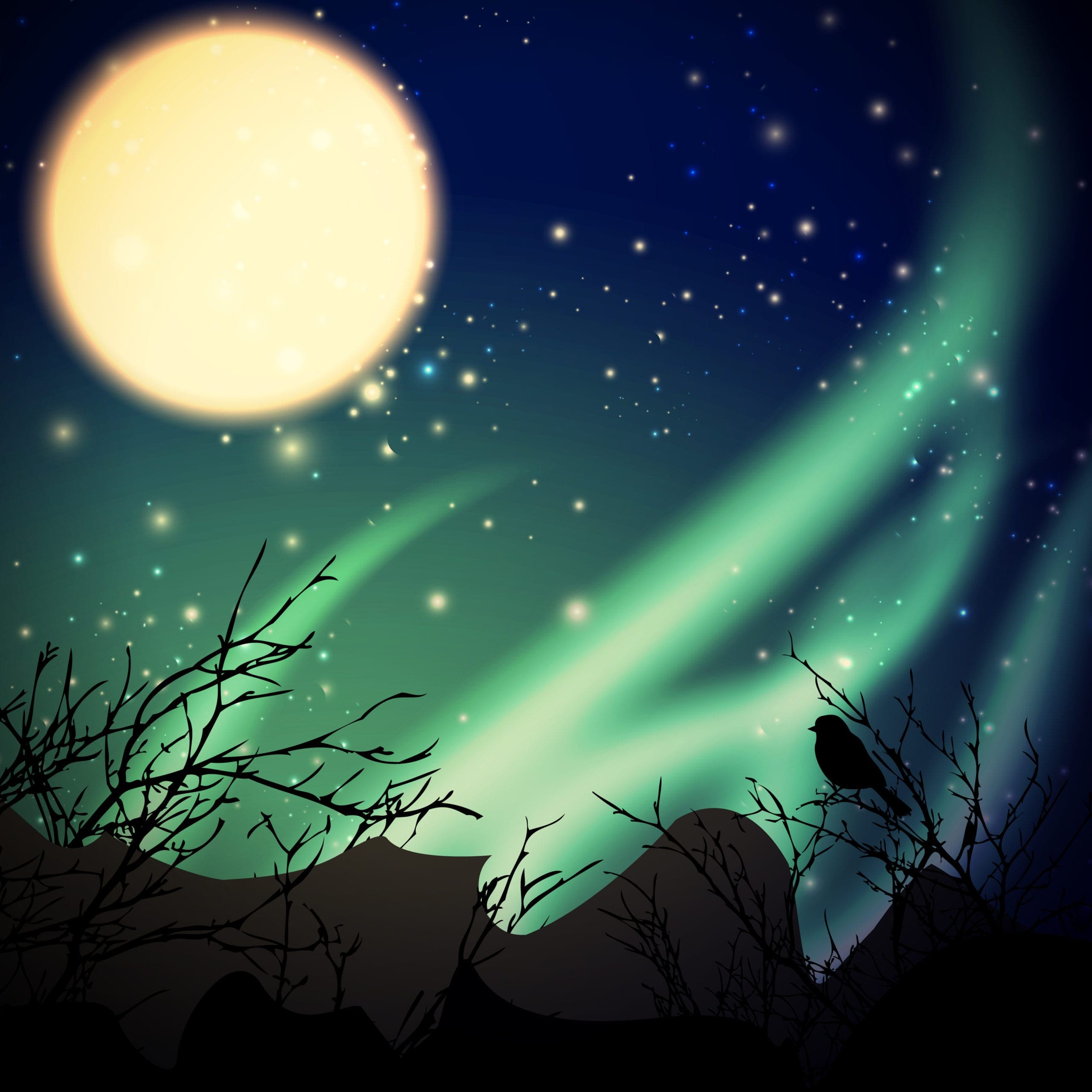 northern lights