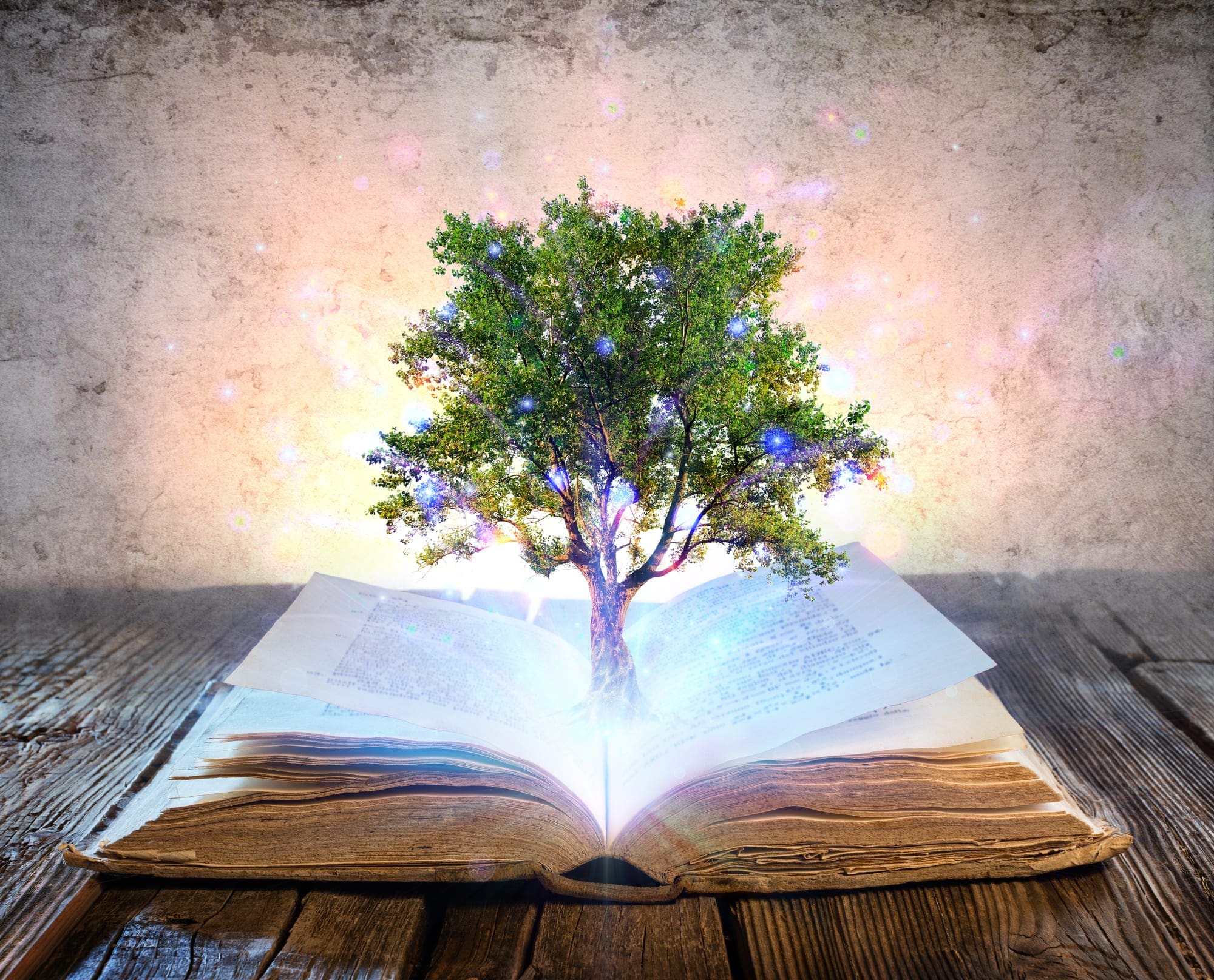 Depositphotos_magic book tree_l-2015