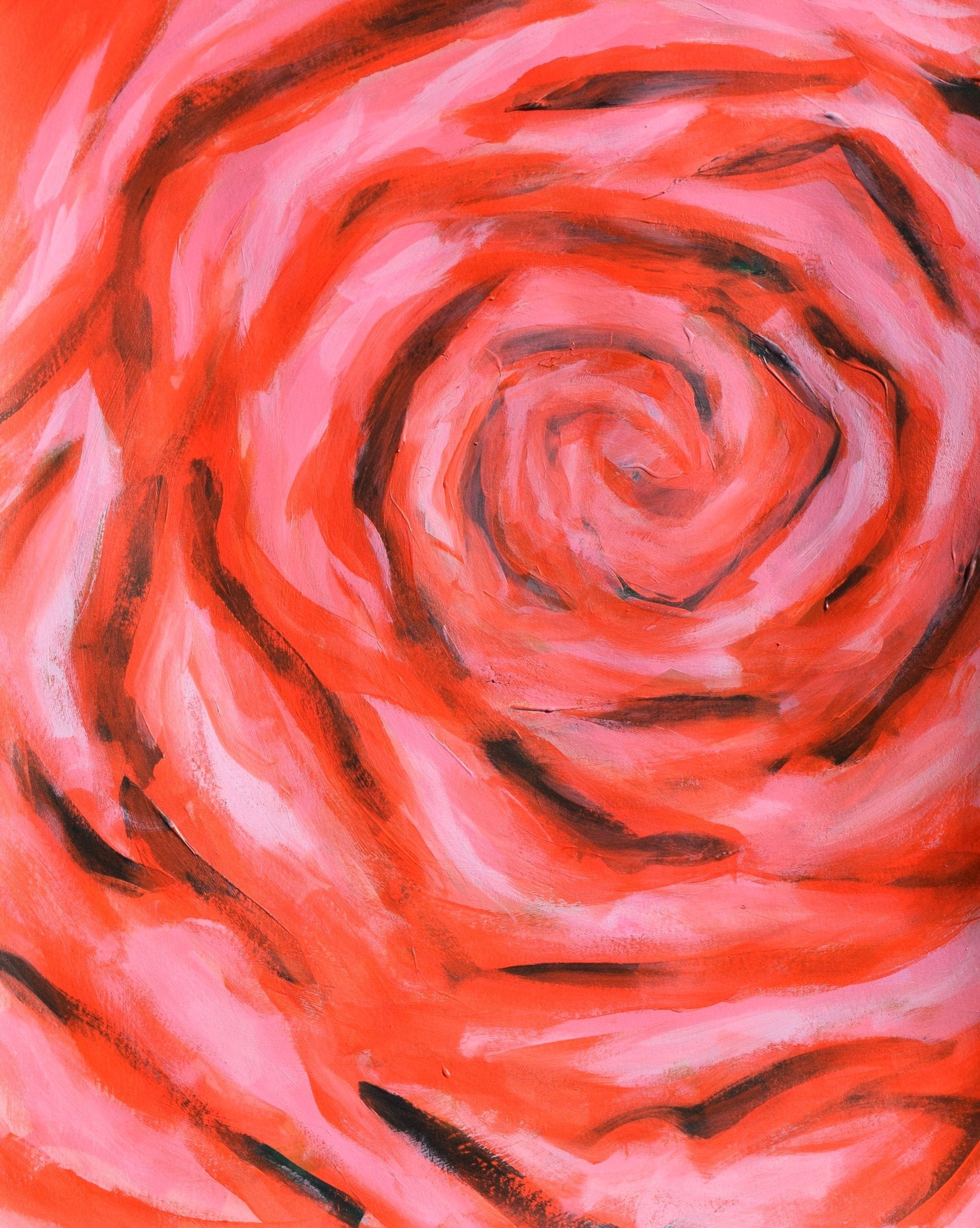 path of the rose Rachel Bergin
