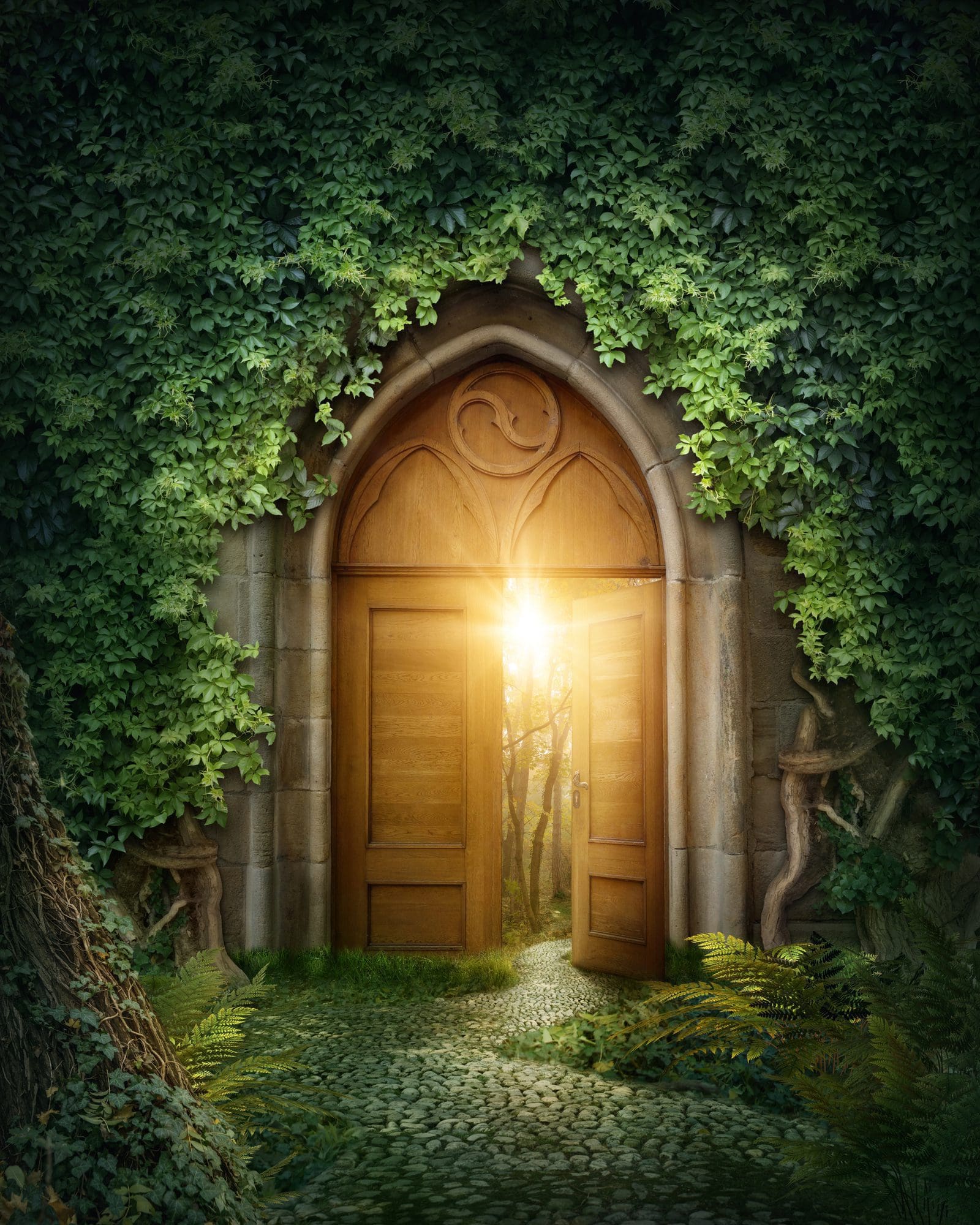 fairy door tag beginners fairy door tag beginners image