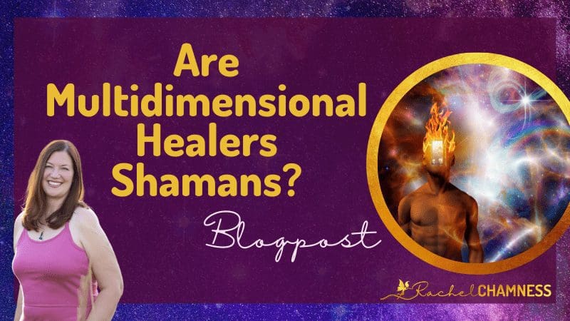 Are Multidimensional Healers Shamans image