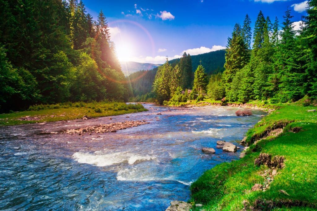 Tree Spirits River Orb Image