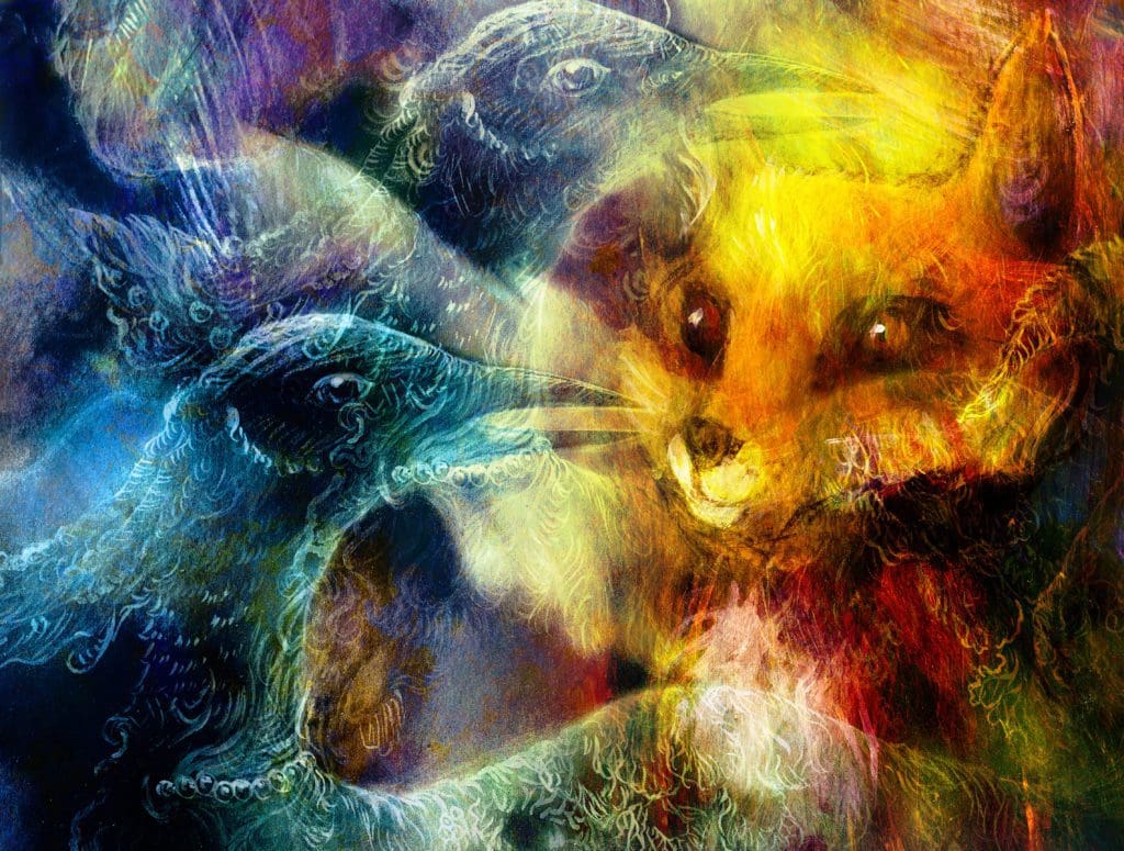 animals image