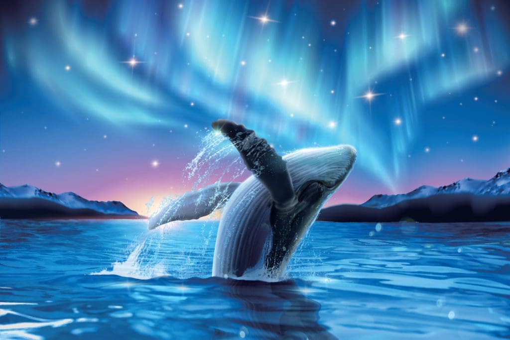 whale diamond light image