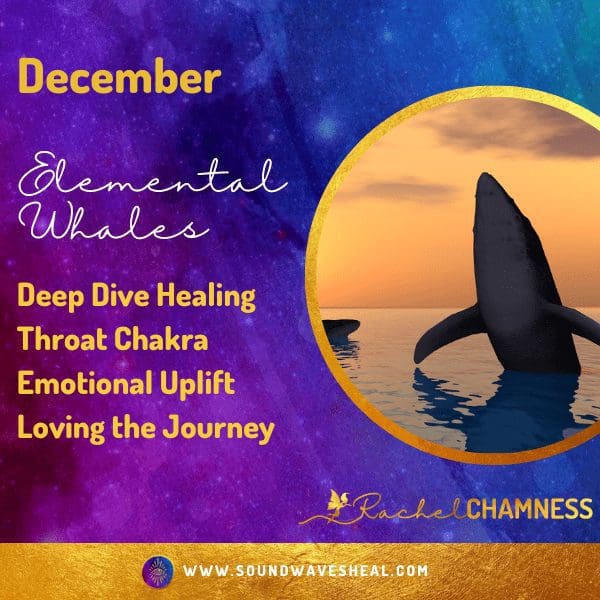 Transformation & Ascension Group whale Image
