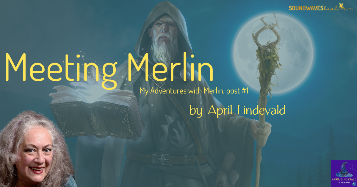 Meeting Merlin, My Adventures with Merlin image