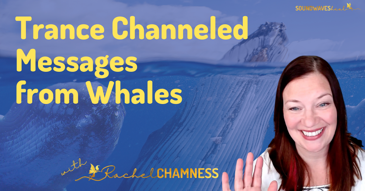 Whale Elemental Beings: Origin & Ascension Help