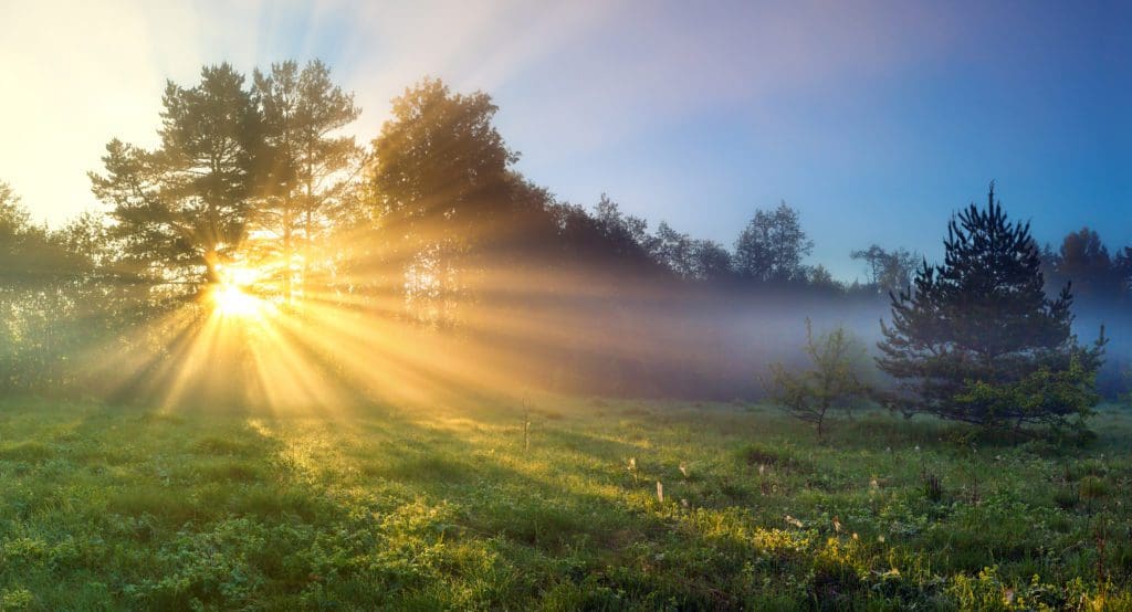 light body sun deity messages image