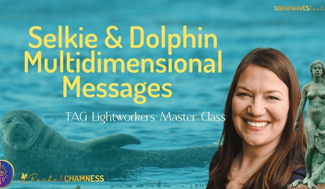 Channeled Selkie & Dolphin Multidimensional Messages