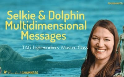 Channeled Selkie & Dolphin Multidimensional Messages