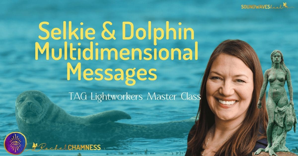 Channeled Selkie & Dolphin Multidimensional Messages
